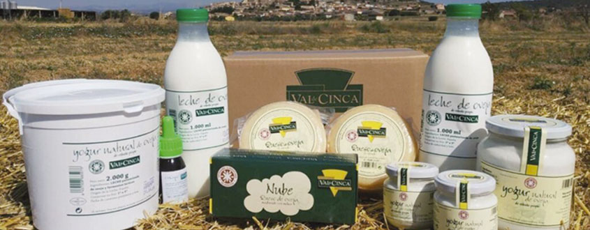 alt="Productos lácteos artesanales de la Quesería Val de Cinca, como leche, yogur y quesos presentados en un entorno rural."